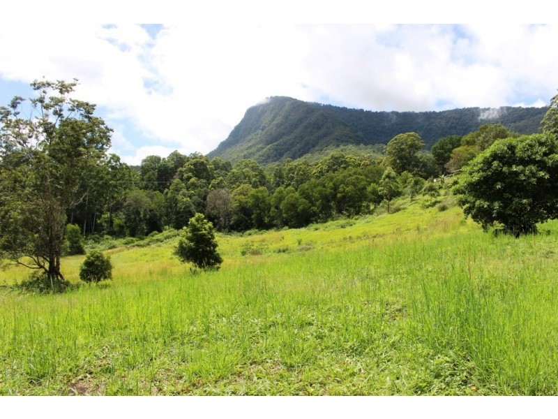 Lot 7, 929 Blue Knob Road, Blue Knob NSW 2480