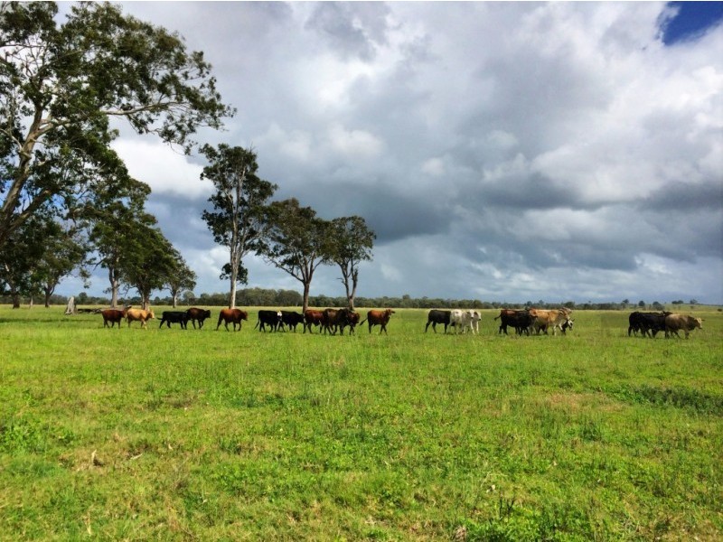 130 Myall Creek Road, West Coraki NSW 2471