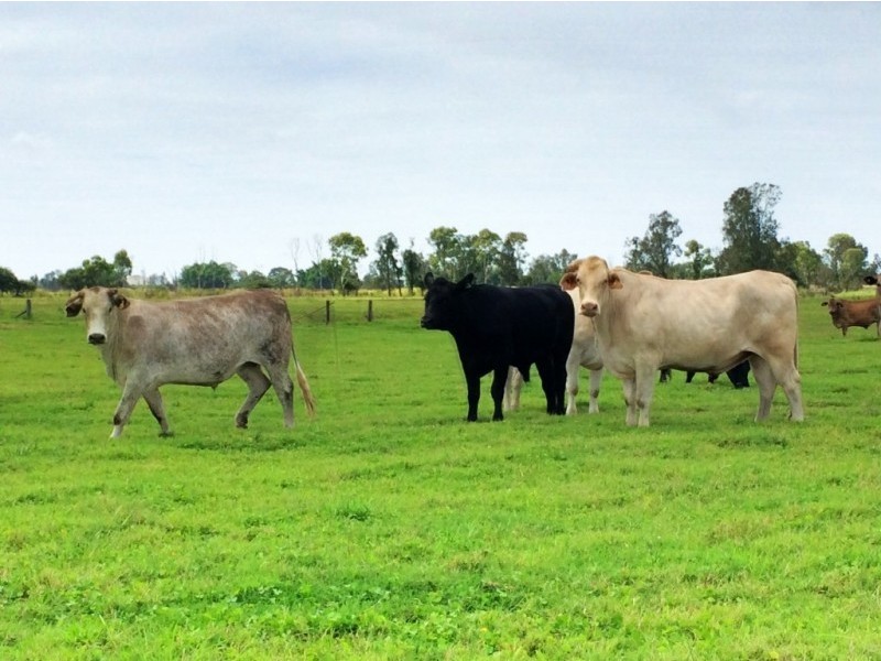 130 Myall Creek Road, West Coraki NSW 2471