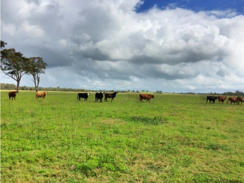 130 Myall Creek Road, West Coraki NSW 2471