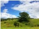 61 Cullen Road, Nimbin NSW 2480