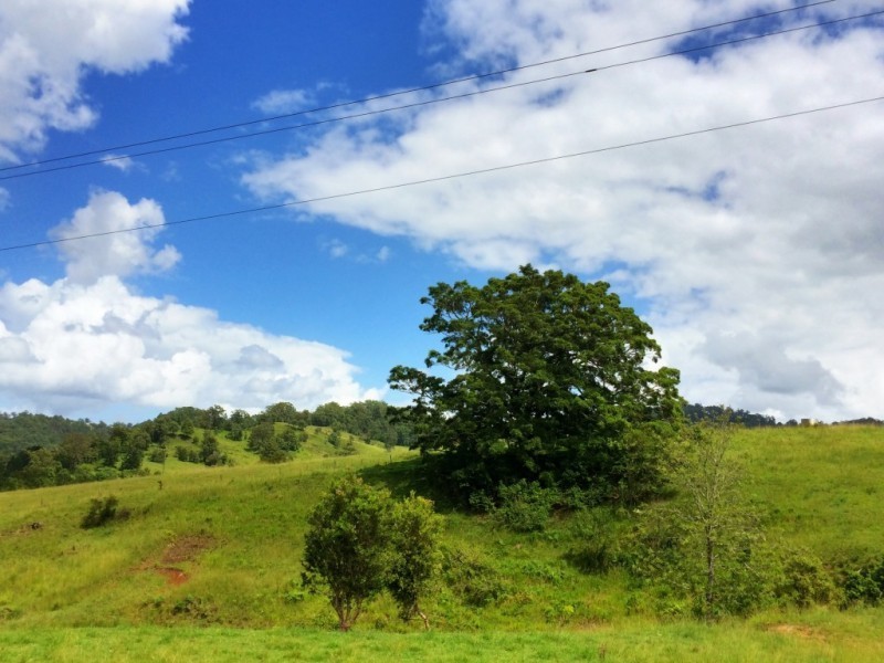 61 Cullen Road, Nimbin NSW 2480