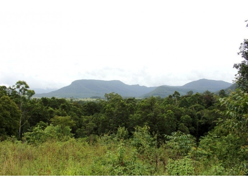 Share 7/345 Tuntable Falls Road, Nimbin NSW 2480