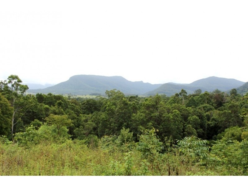 Share 7/345 Tuntable Falls Road, Nimbin NSW 2480