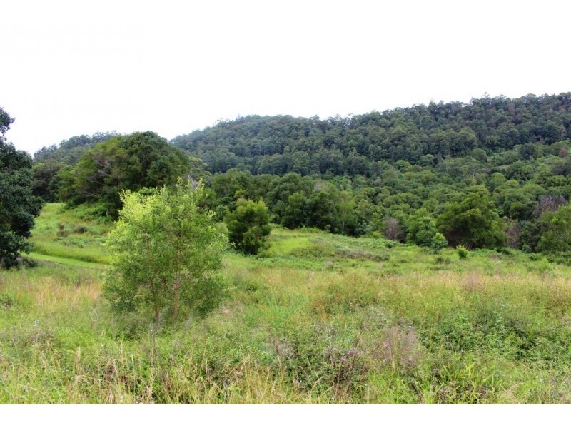 Share 7/345 Tuntable Falls Road, Nimbin NSW 2480