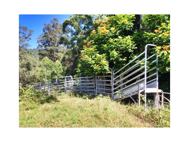 48 Kirkland Road, Nimbin NSW 2480