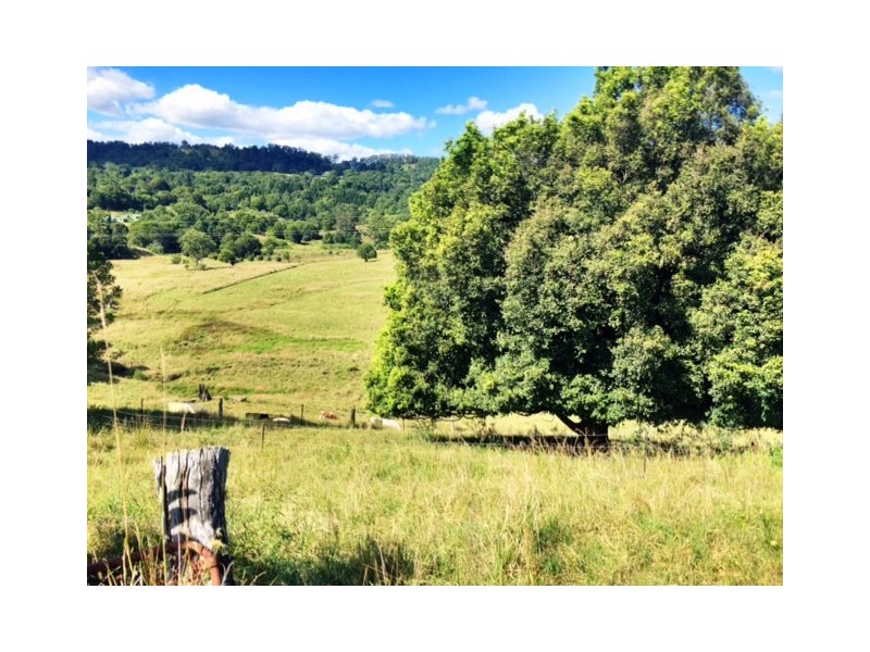 48 Kirkland Road, Nimbin NSW 2480