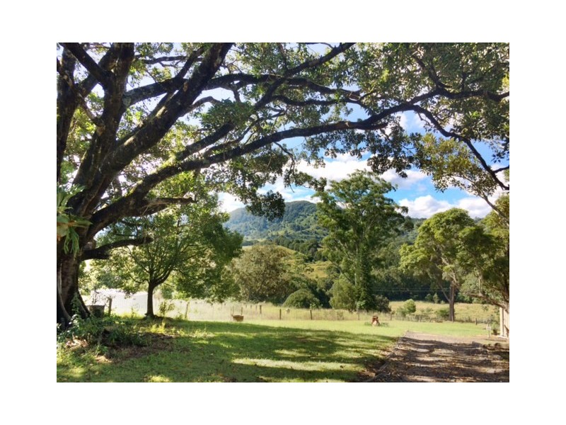 48 Kirkland Road, Nimbin NSW 2480