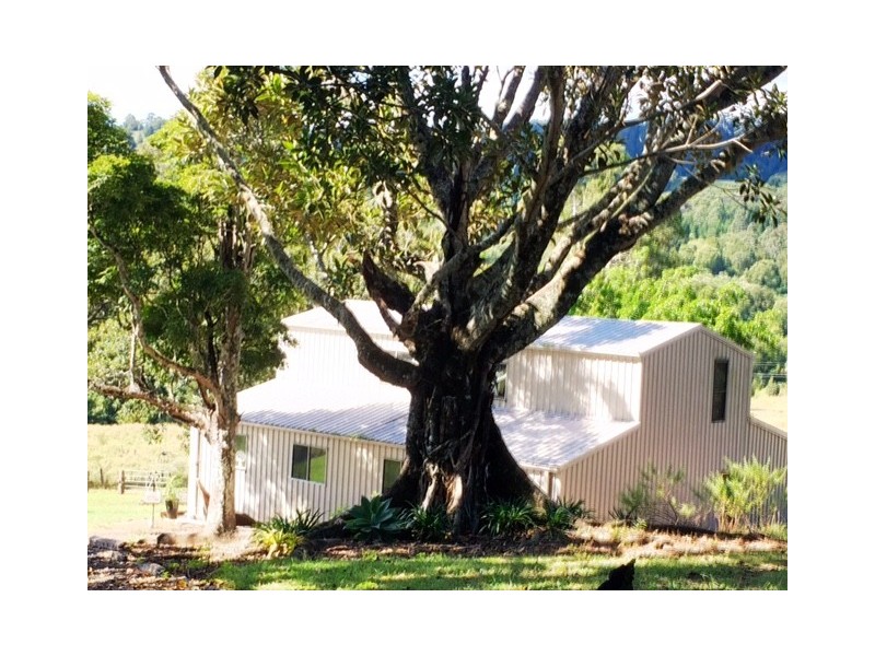 48 Kirkland Road, Nimbin NSW 2480