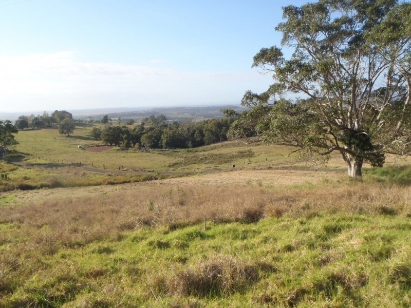 Lot 1, 223 Parrots Nest Road, South Gundurimba NSW 2480
