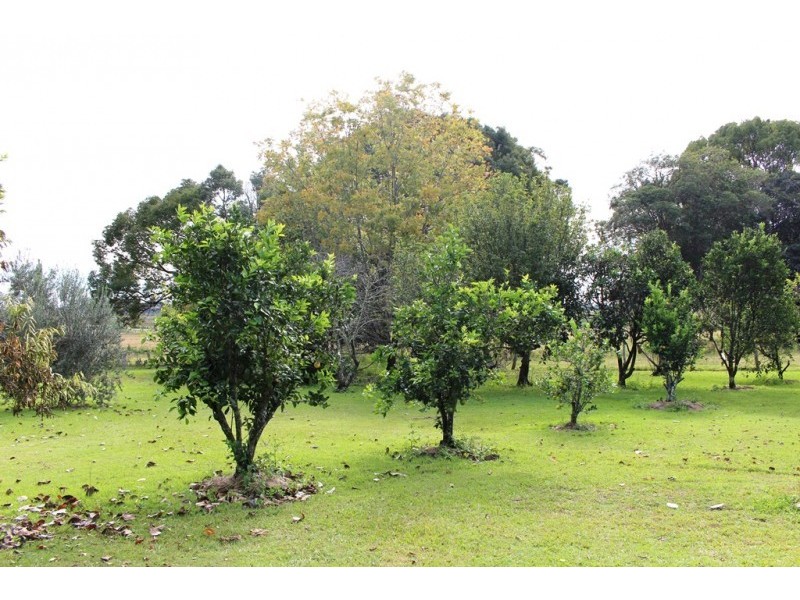 428 Myall Creek Road, Bora Ridge NSW 2471