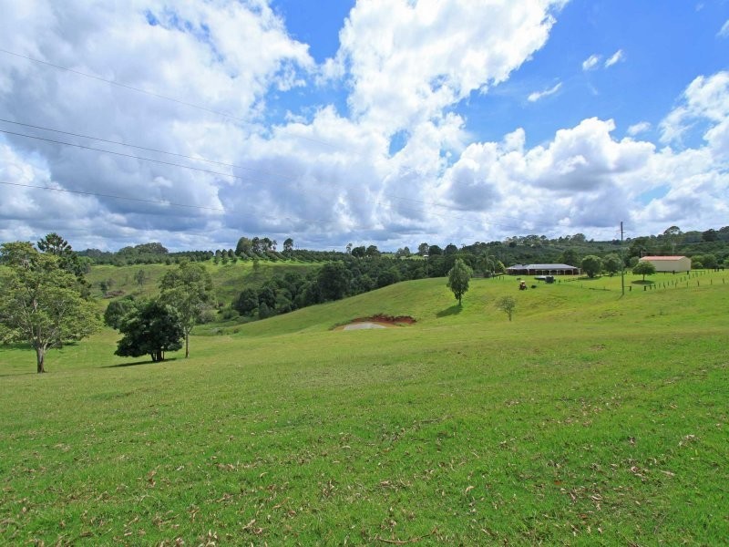 83 Muller Road, Tregeagle NSW 2480