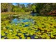 12 Napier Street, Goonellabah NSW 2480