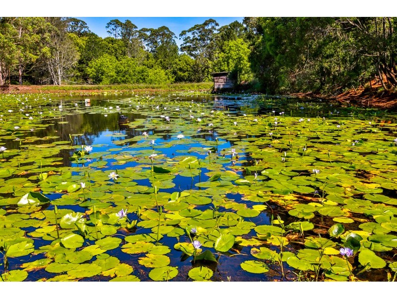 12 Napier Street, Goonellabah NSW 2480