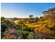 56 Barrys Road, Modanville NSW 2480