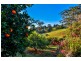 56 Barrys Road, Modanville NSW 2480