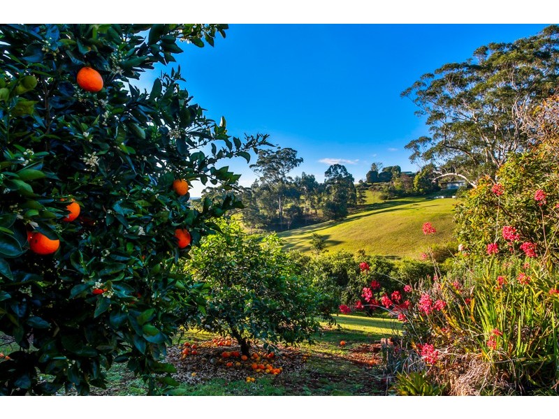 56 Barrys Road, Modanville NSW 2480