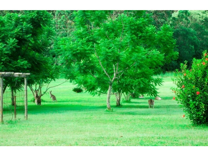Apply for Address, Lismore NSW 2480
