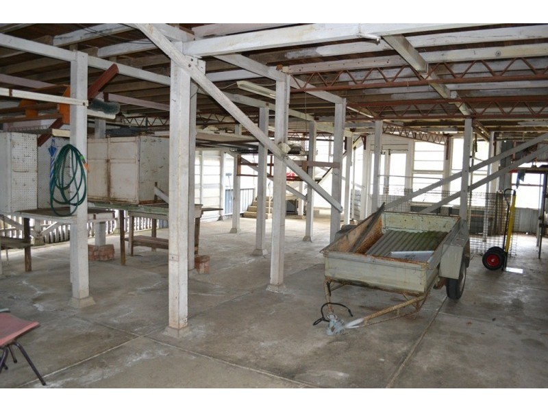 15 Ewing Street, Lismore NSW 2480