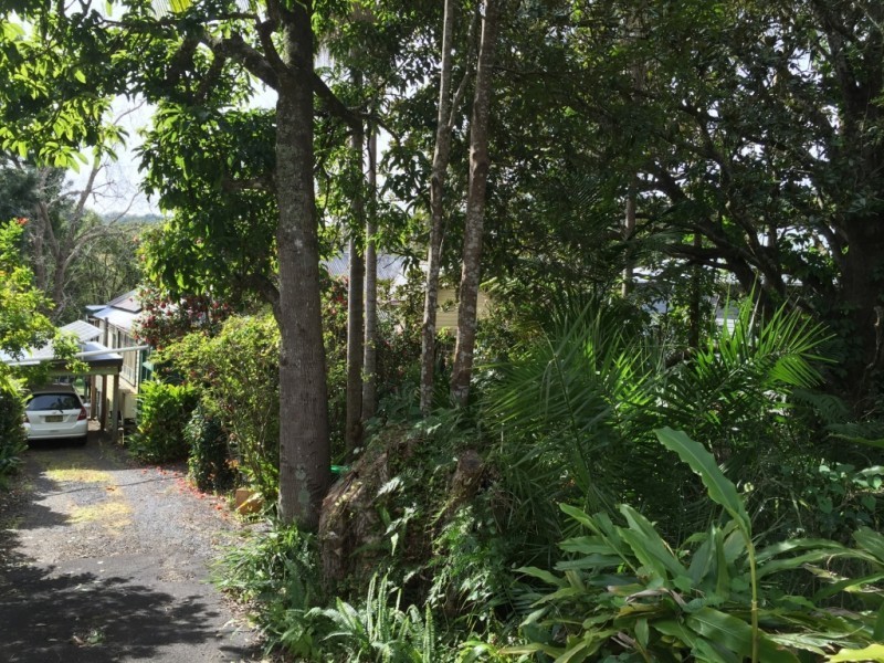 8 Standing Street, The Channon NSW 2480