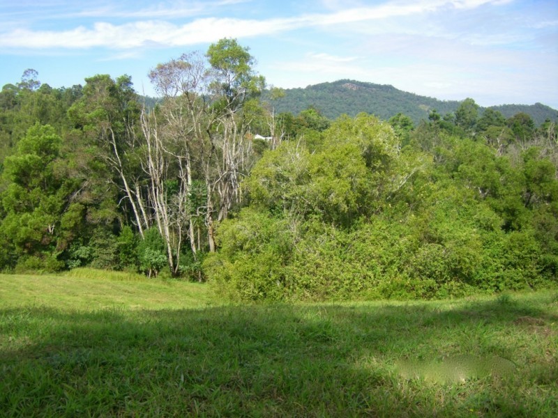 Lot 1,  Tulsi Lane, Nimbin NSW 2480