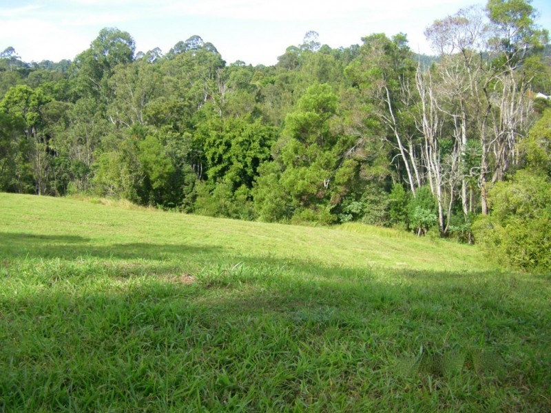 Lot 1,  Tulsi Lane, Nimbin NSW 2480