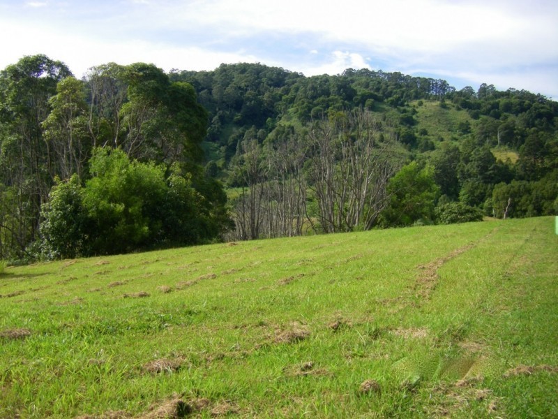 Lot 9,  Tulsi Lane, Nimbin NSW 2480
