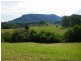 Lot 9,  Tulsi Lane, Nimbin NSW 2480