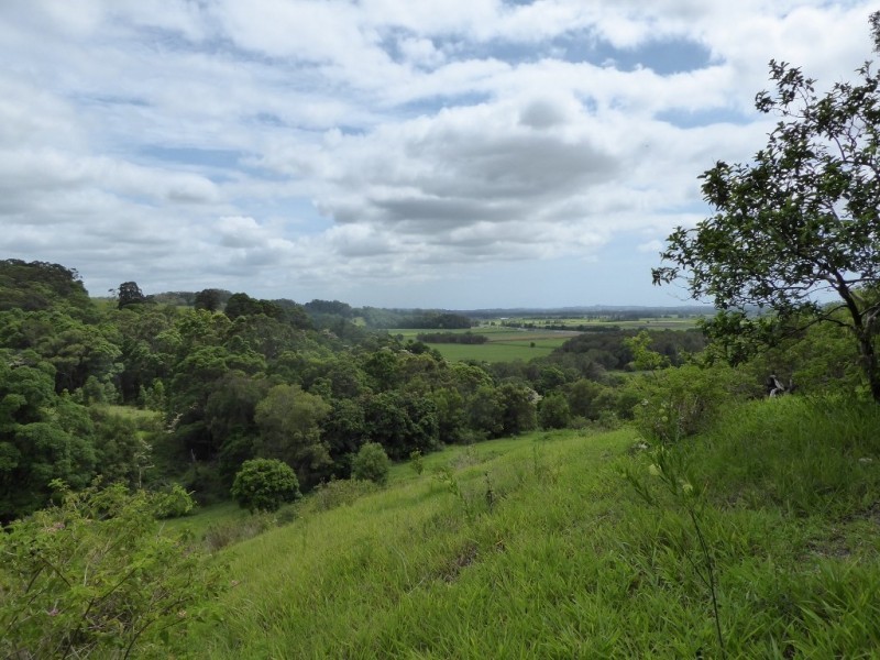 132 Whytes Lane, Pimlico NSW 2478