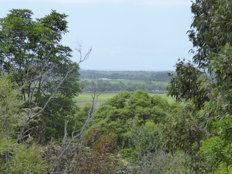 132 Whytes Lane, Pimlico NSW 2478