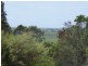 132 Whytes Lane, Pimlico NSW 2478