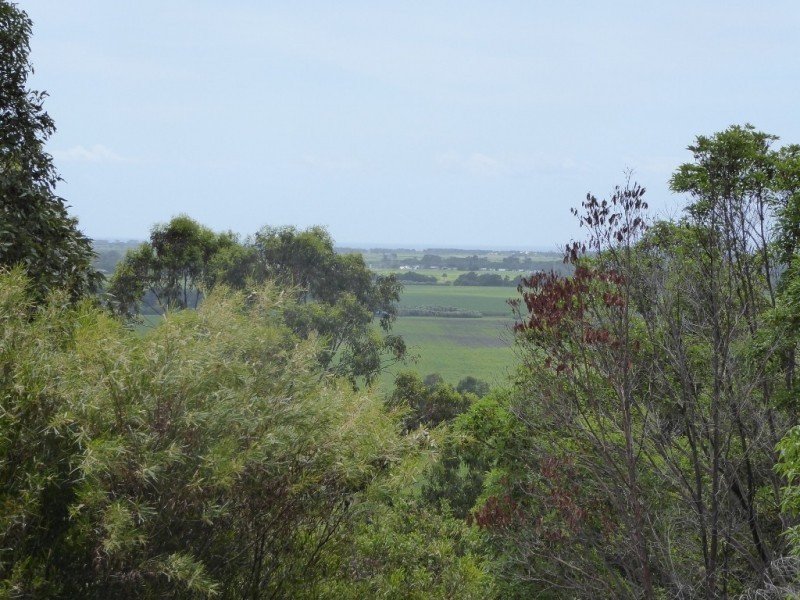 132 Whytes Lane, Pimlico NSW 2478