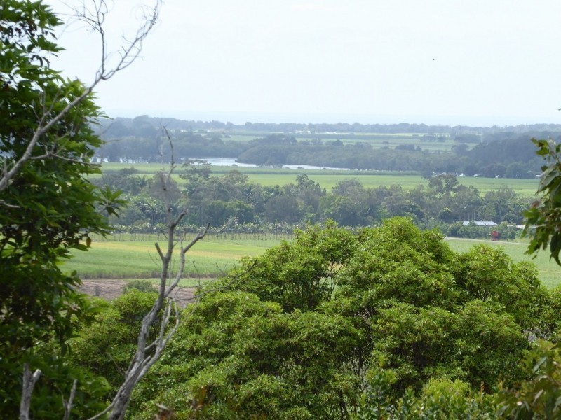 132 Whytes Lane, Pimlico NSW 2478