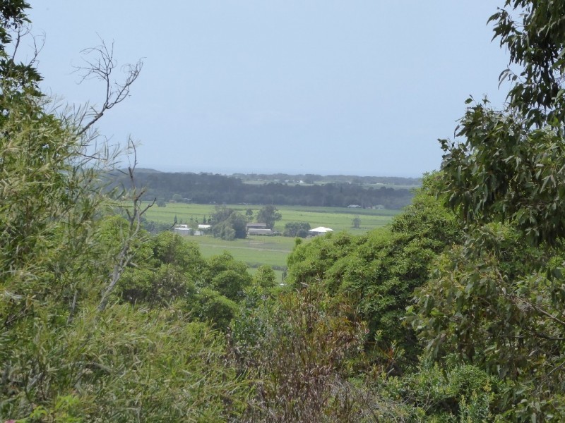 132 Whytes Lane, Pimlico NSW 2478