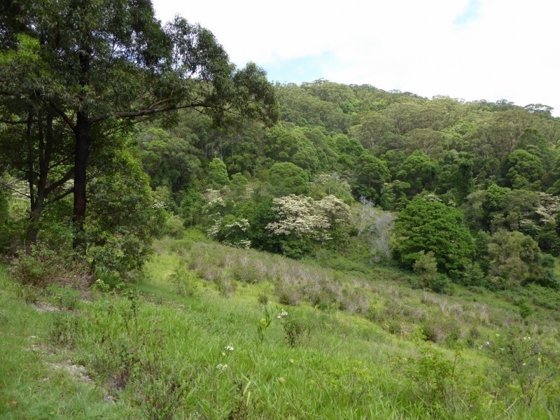 132 Whytes Lane, Pimlico NSW 2478