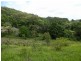 132 Whytes Lane, Pimlico NSW 2478