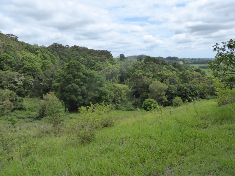 132 Whytes Lane, Pimlico NSW 2478