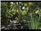 32 Nimbin Street, The Channon NSW 2480
