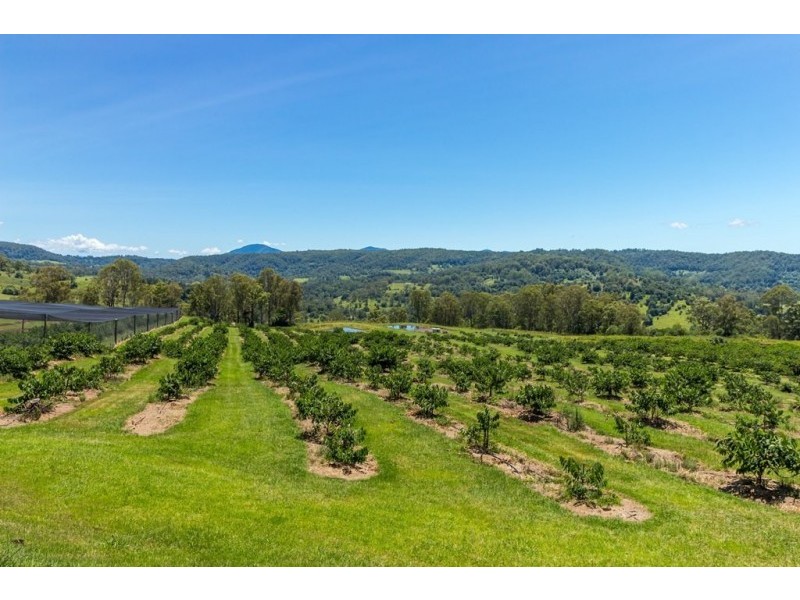 120 Gwynne Road, Jiggi NSW 2480