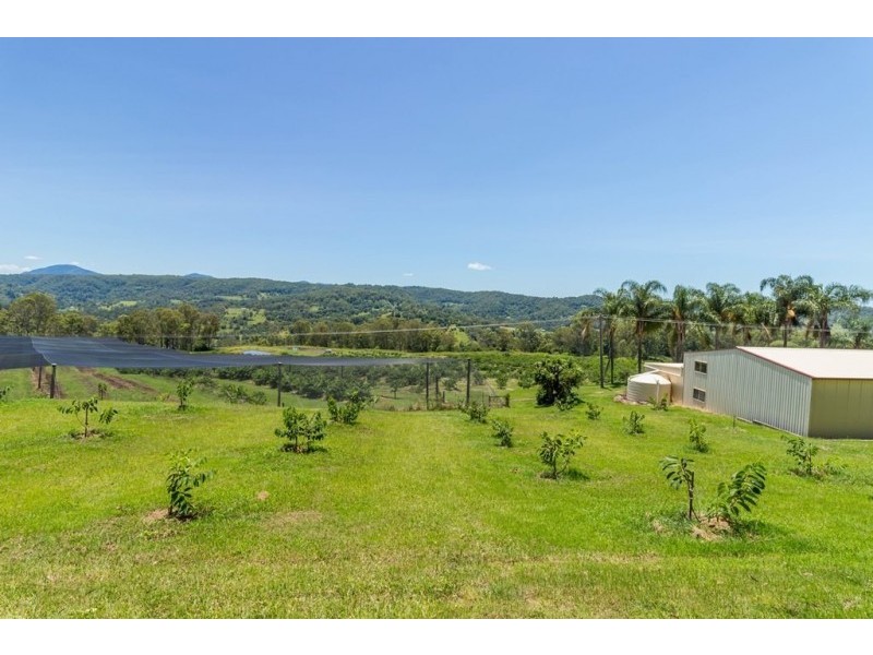 120 Gwynne Road, Jiggi NSW 2480