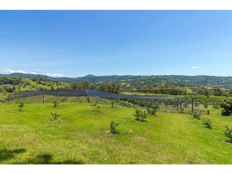 120 Gwynne Road, Jiggi NSW 2480