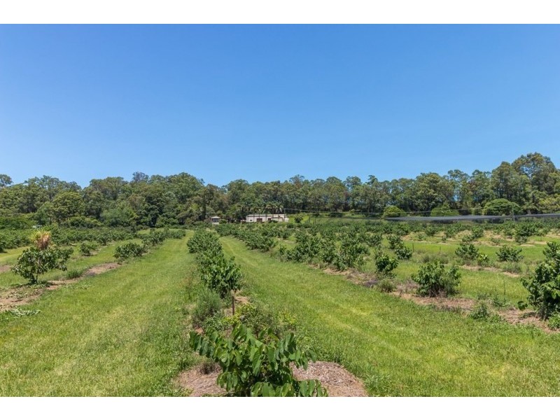 120 Gwynne Road, Jiggi NSW 2480