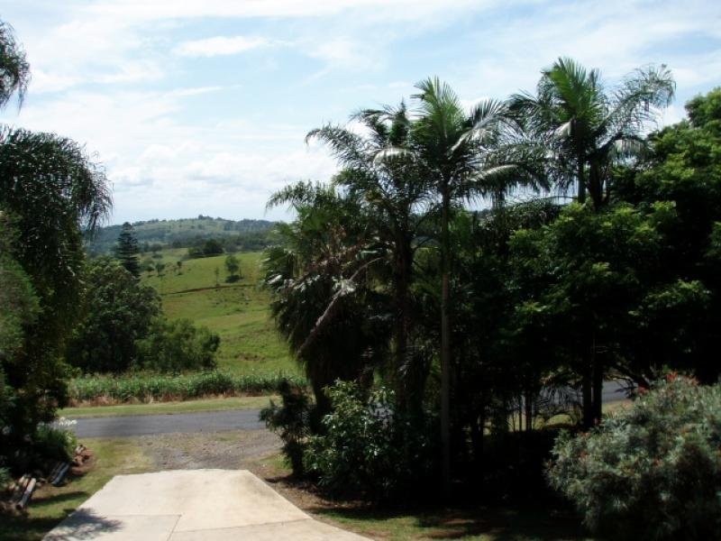453 TREGEAGLE ROAD, Tregeagle NSW 2480