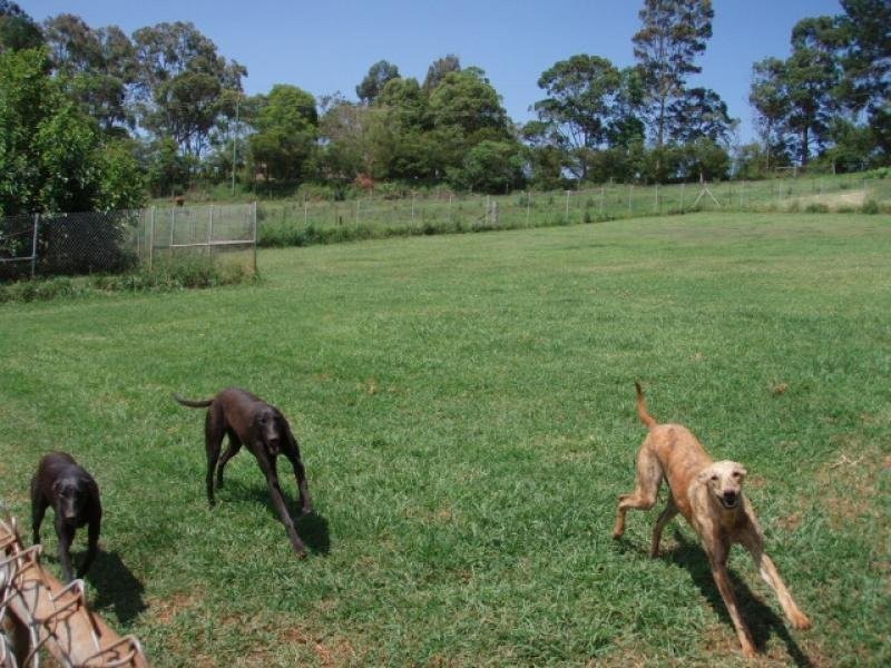 453 TREGEAGLE ROAD, Tregeagle NSW 2480