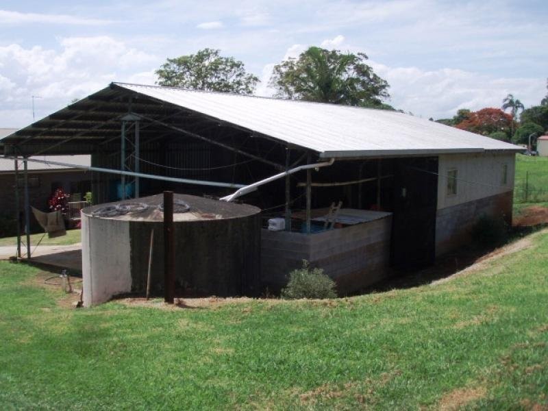 453 TREGEAGLE ROAD, Tregeagle NSW 2480