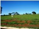 Lot 7 Avondale Estate, Dunoon NSW 2480