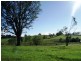 Lot 7 Avondale Estate, Dunoon NSW 2480