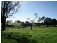 Lot 7 Avondale Estate, Dunoon NSW 2480
