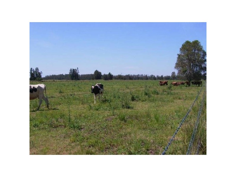 2 Flood Reserve Roadd, Ruthven NSW 2480