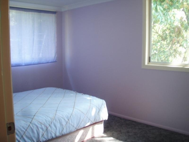 874 Terania Creek Road, The Channon NSW 2480